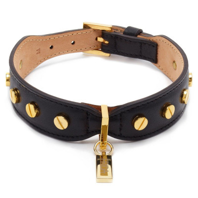 Dog harness